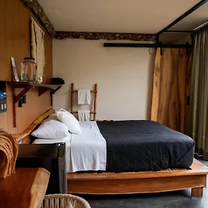 Otel Bufo Alvarius