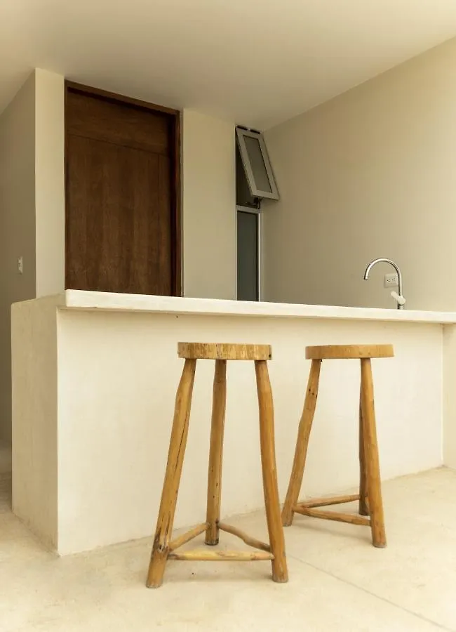 Private Pool And Rooftop For 3 Tulum Hotel