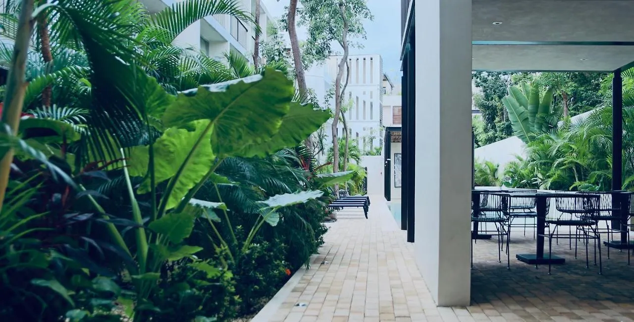 Hotel Private Pool And Rooftop For 3 Tulum