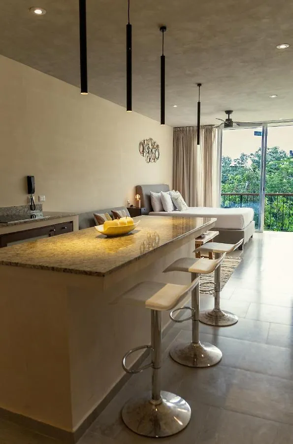 Private Pool And Rooftop For 3 Tulum Mexico